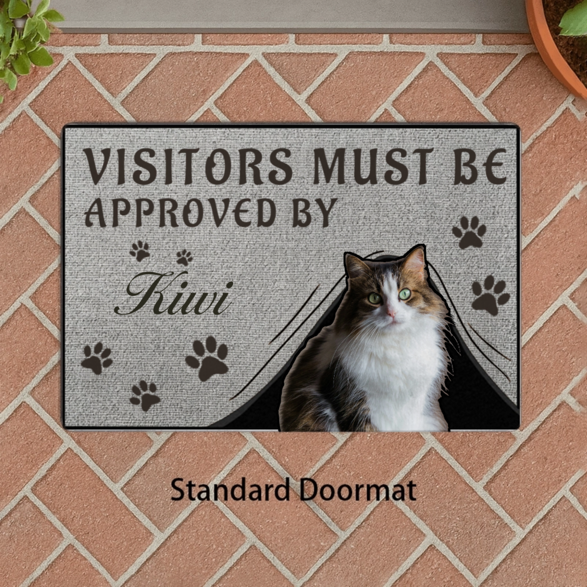 "Visitors Must Obtain Permission" Personalized Anti-Slip Floor Mat. Suitable For Giving To The Pet Father And Pet Mother Around You