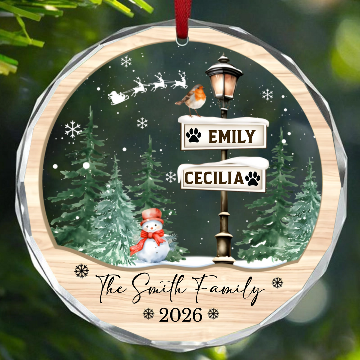 Christmas Ornament - Family Names Christmas Ornament, Personalized Family With Pets Ornaments - Personalized Round Glass Ornament