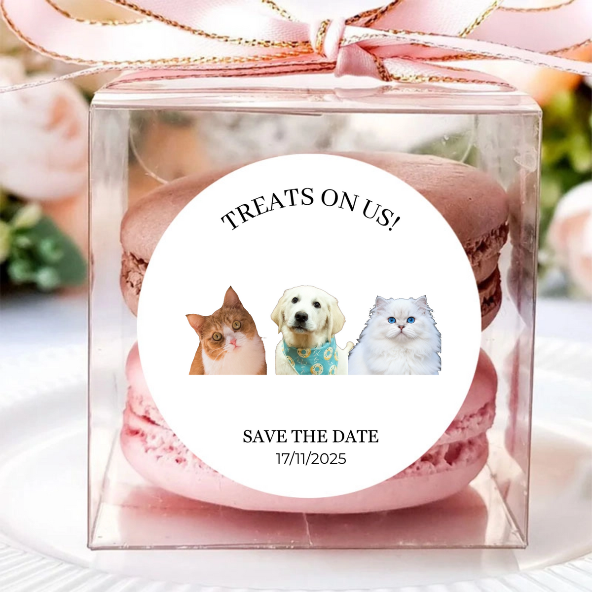 Personalized Cute Pet Photo Waterproof Sticker with Name Wedding Party Gift Decoration for Newlyweds