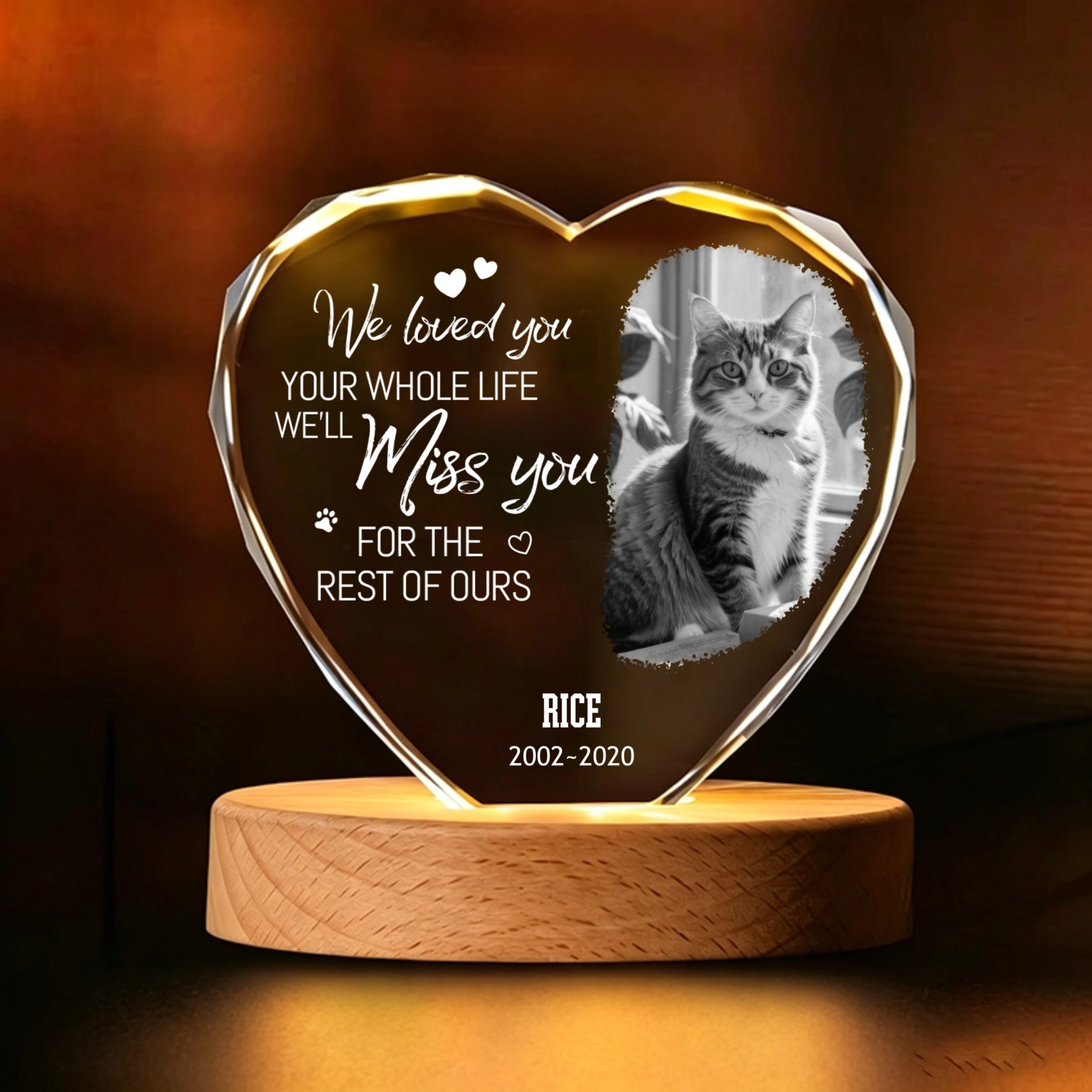 Custom Crystal Pet Memorial Nightlight, Gift for Pet Lovers, Sympathy Gift for Loss of Cat Dog