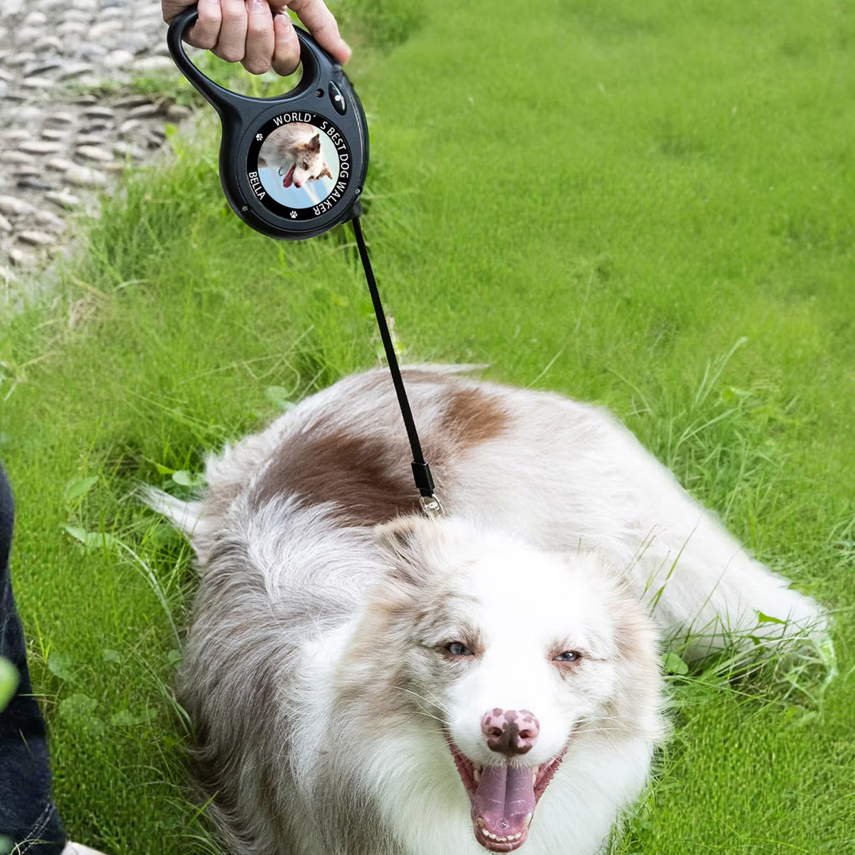 Personalized Paw Photo Design Dog Leash with Text and Name Outdoor Accessories Pet Party Birthday Christmas Gift for Pet Owners
