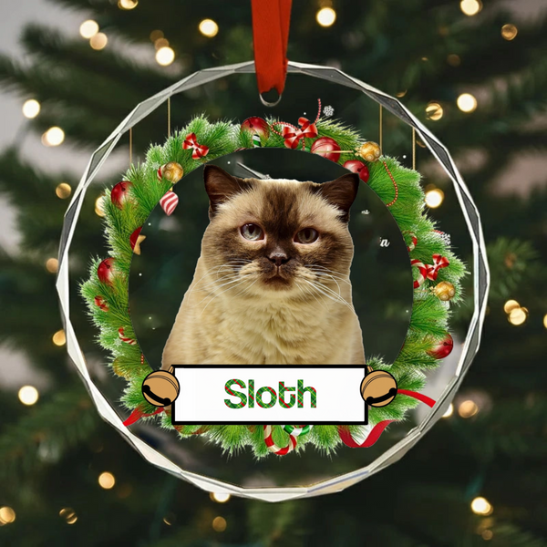 Personalized Christmas Crystal Round Hanging Ornaments, Paw-fect Gift For Pet Owners