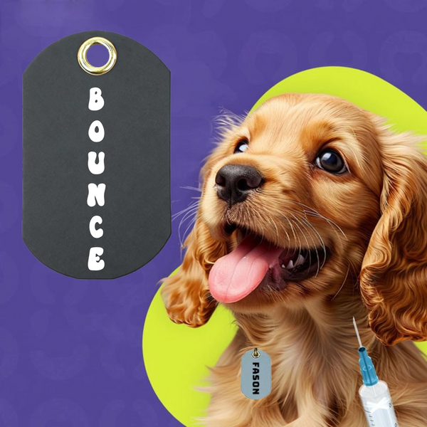 Personalized Oval Pet ID Tag, PU Leather Pet Collar Tag, Gifts for Pet Owners on Birthdays and Holidays