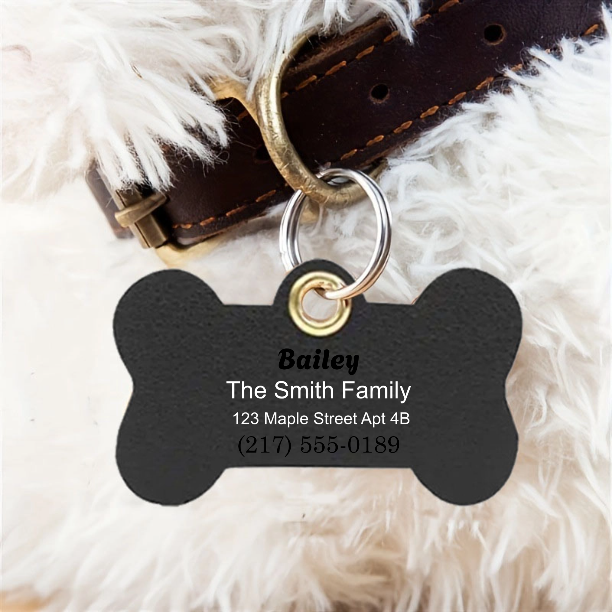 Personalized Pet ID Tag, Pet Safety Tag for Dogs and Cats, Lost Pet Prevention and Owner Identification