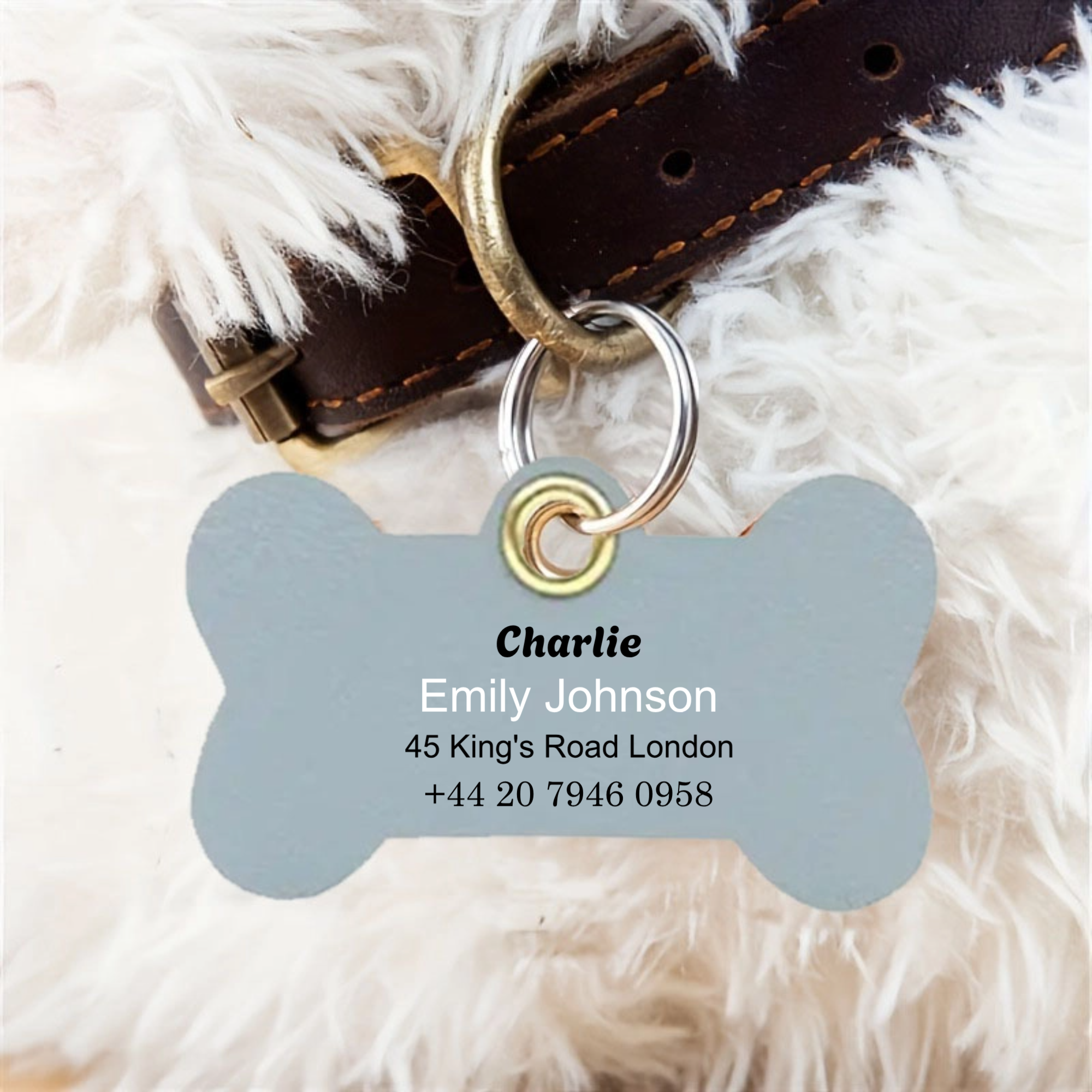 Personalized Pet ID Tag, Pet Safety Tag for Dogs and Cats, Lost Pet Prevention and Owner Identification