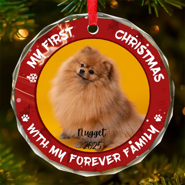 Personalized "Joy To The World, My Pet Has Come" Circle Glass Ornament, Christmas Gift For Pet Owners, Pet Lovers, First Christmas