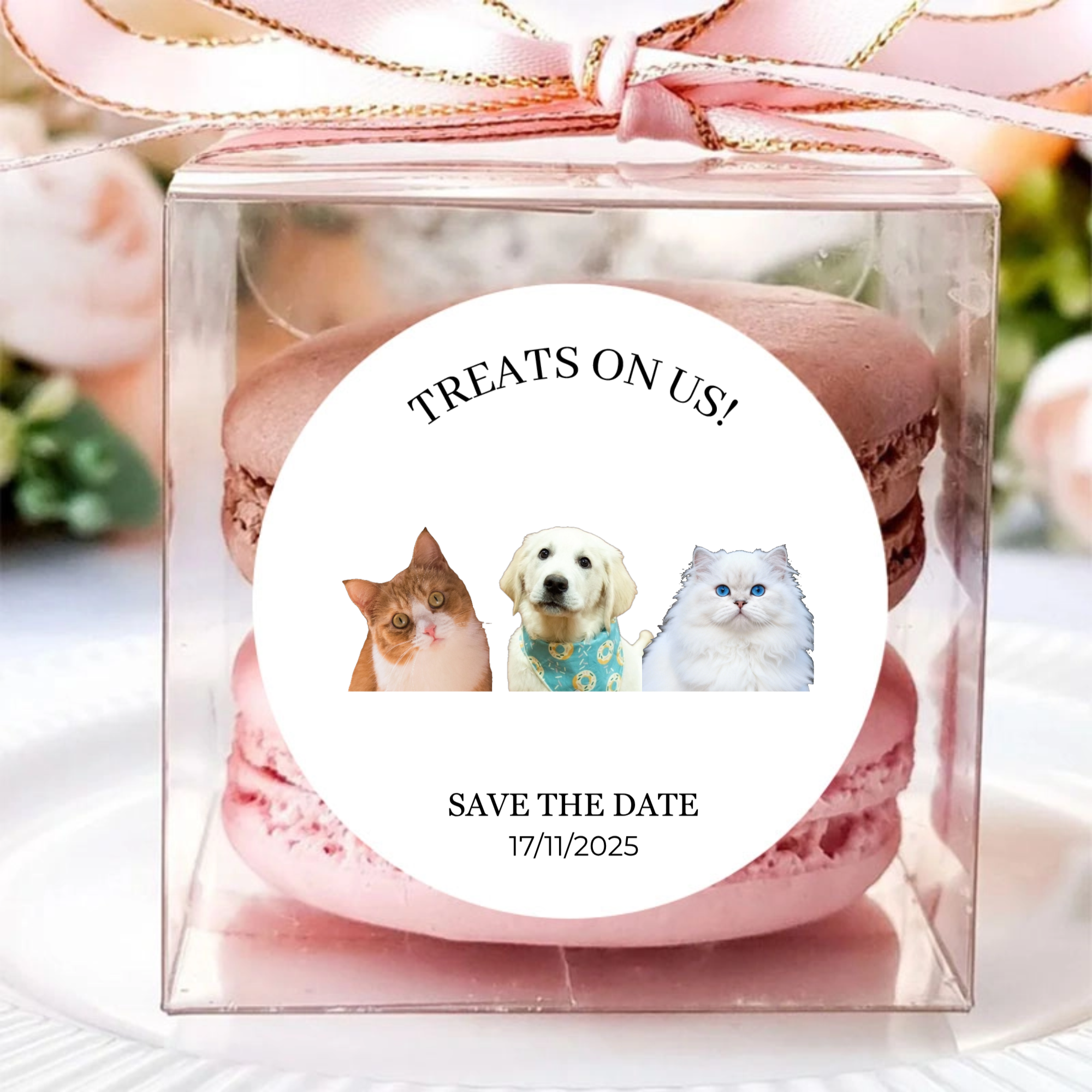 Personalized Cute Pet Photo Waterproof Sticker with Name Wedding Party Gift Decoration for Newlyweds