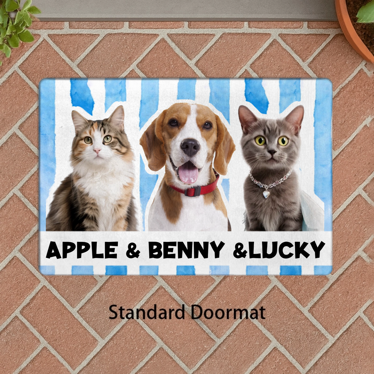 Personalized Multi‑Pet Portrait Design, Custom Doormat Product, the Perfect Gift for Pet Owners